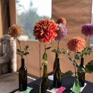 Single Bloom Competition 3